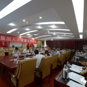 集團在慧谷11樓會(huì )議室召開(kāi)人力資源工作會(huì )議